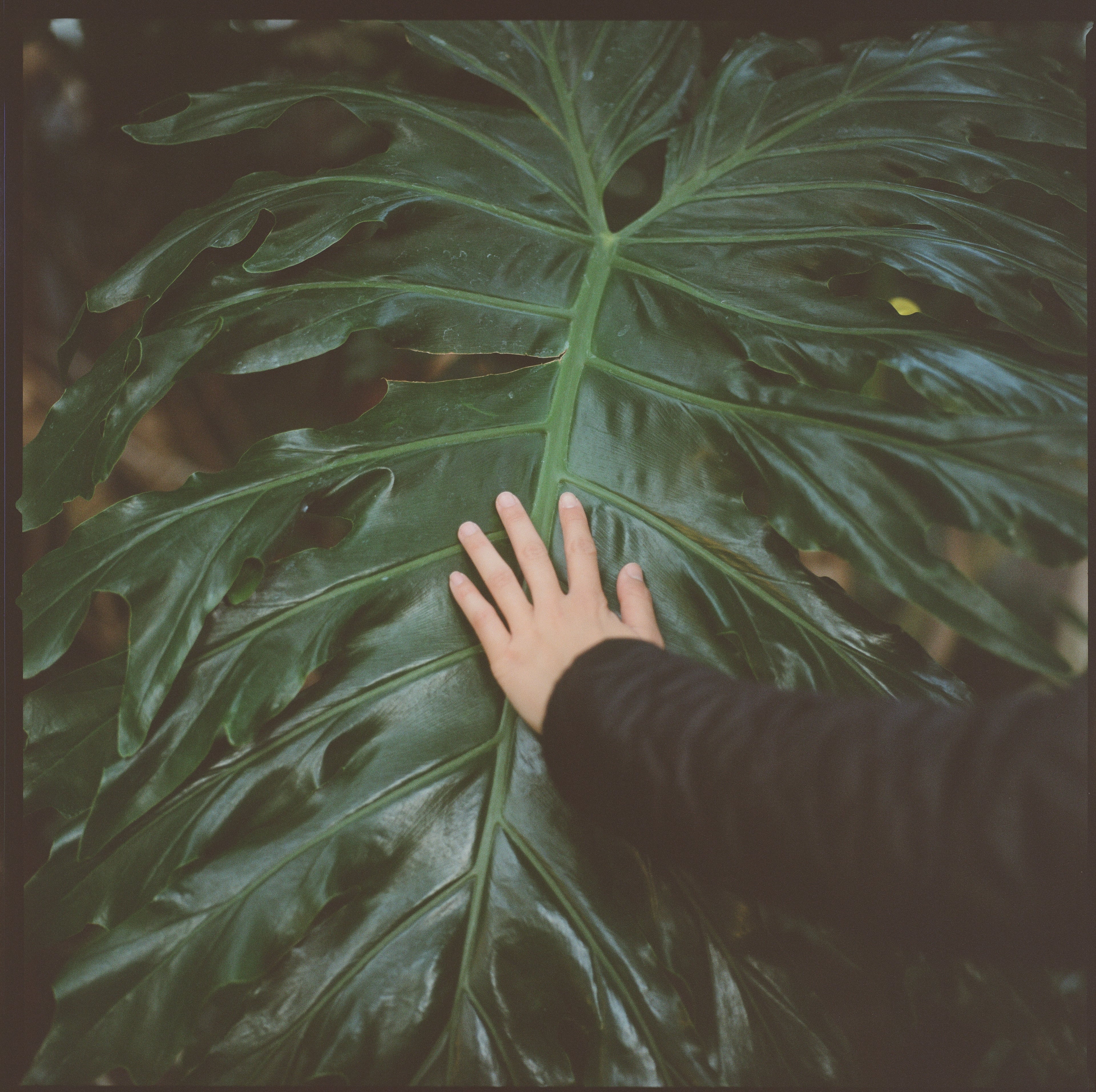 Photograph 10 from SE1 film photography collection